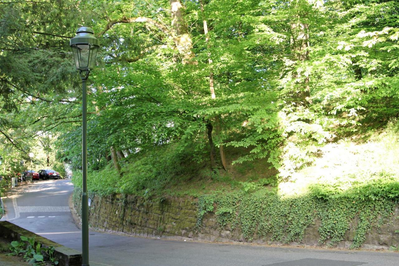 Family Suites & Parking バーデン＝バーデン エクステリア 写真